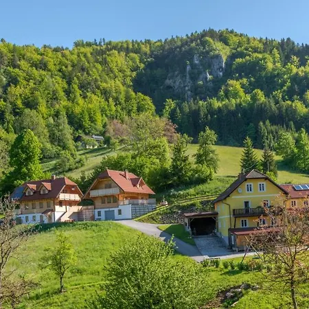 Arlitscherhof Und Apartment Bad Eisenkappel