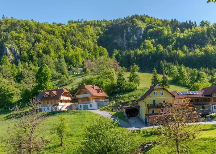 Arlitscherhof Und Apartamento Bad Eisenkappel